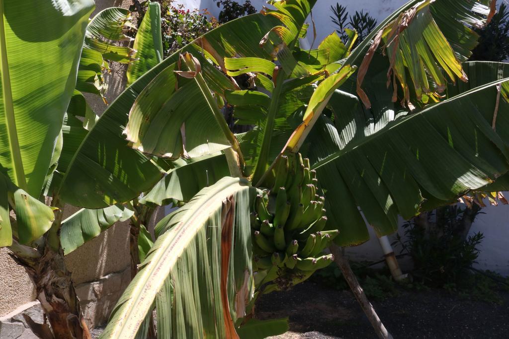 3C Fuerteventura Villa Costa Calma Luaran gambar